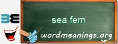 WordMeaning blackboard for sea fern